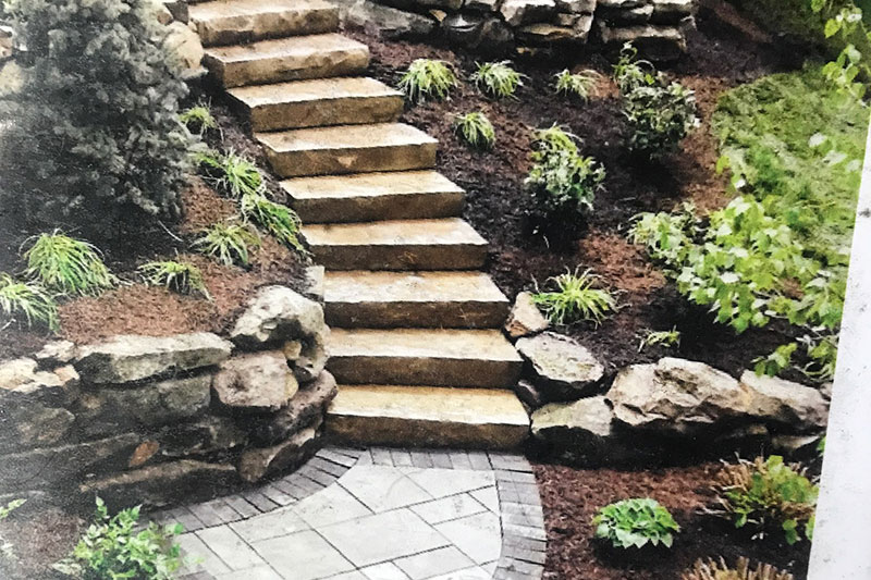 Landscape plantings and hardscape stone steps and paver path
